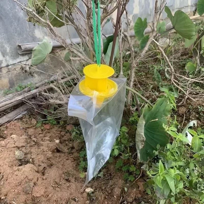 why are my pheromone traps not catching moths why are my pheromone traps not catching moths