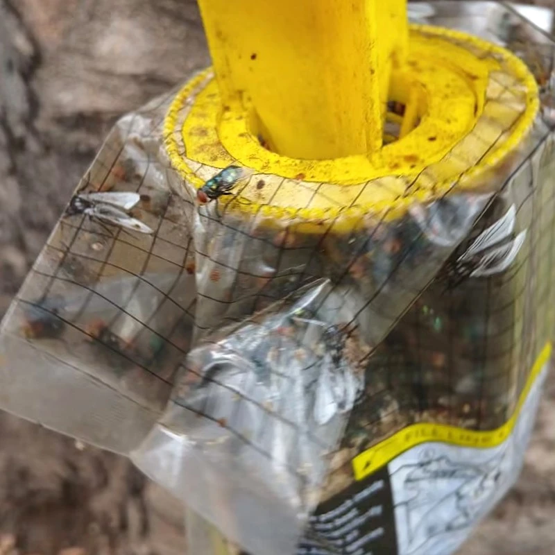 how to store pheromone lures properly how to store pheromone lures properly
